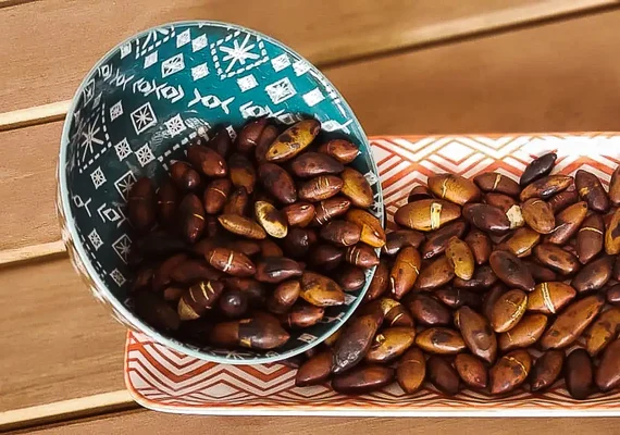 Togo abre mercado para sementes do Brasil; Indonésia permite bovinos vivos