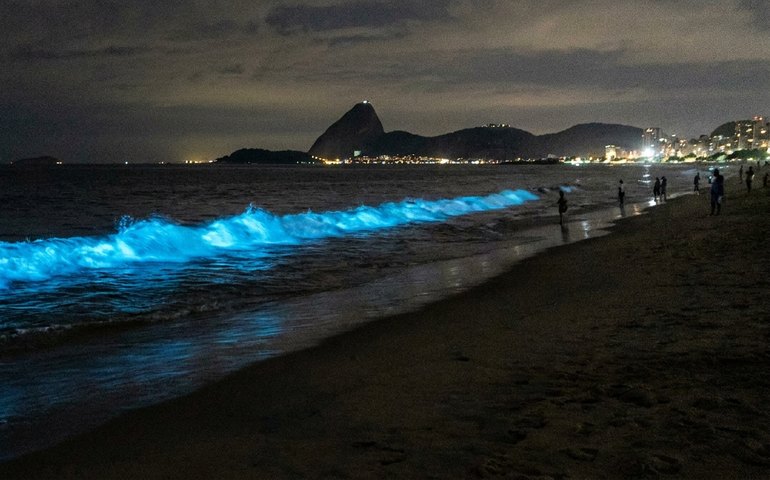 Mar fica azul e “fosforescente” em Niterói; entenda o fenômeno