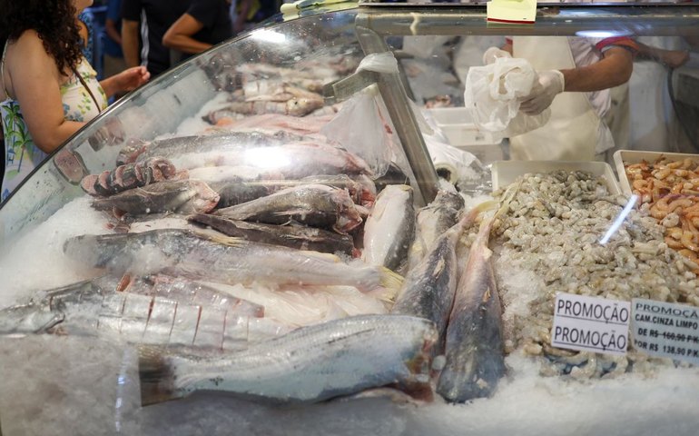 Semana do pescado pretende aumentar consumo  do produto em 30%