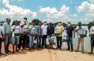 Parceria entre Prefeitura de Penedo e Codevasf distribui alevinos para piscicultores