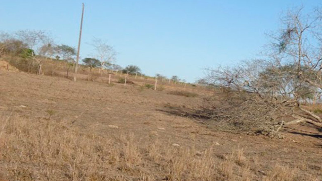 Arapiraca receberá ajuda contra efeitos da seca