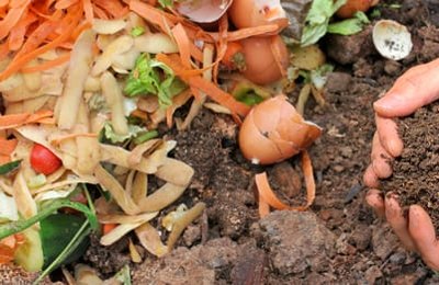 Compostagem Doméstica: uma ação sustentável ao alcance de todos