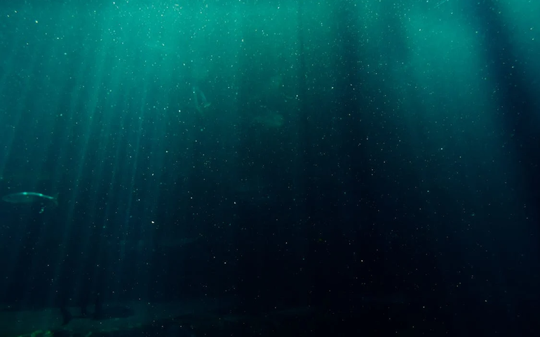 O romance vencedor do Oscar que vai te provar que o amor não tem forma (e que você pode ver de graça)