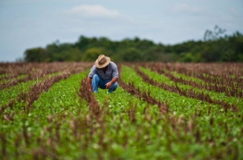 Extensionistas são capacitados para elaboração de Crédito Rural Orientado