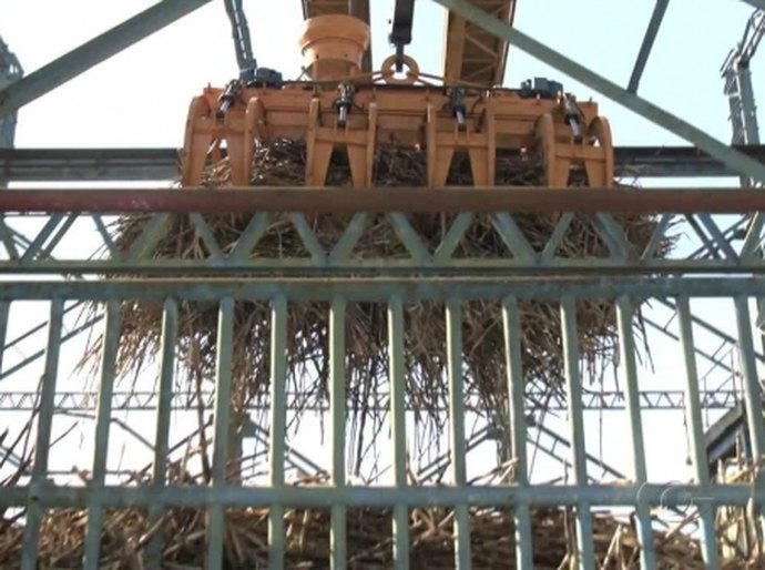 Copervales Agroindustrial inicia moagem da safra 2016/2017