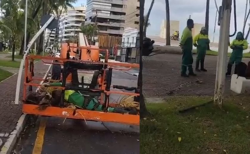 Dois trabalhadores ficam feridos após acidente com grua durante poda de coqueiros em Maceió