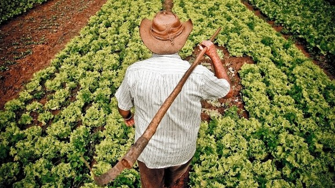 30 mil agricultores familiares do Agreste vão receber apoio estadual