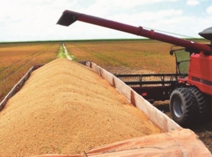 Governo de AL promove Dia de Campo sobre soja em Campo Alegre