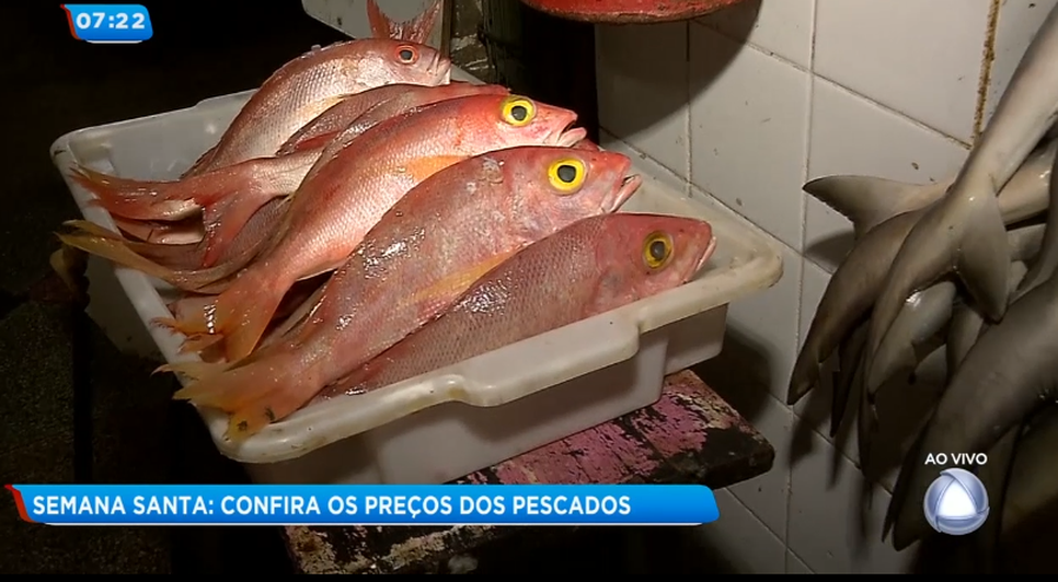 Peixe e camarão