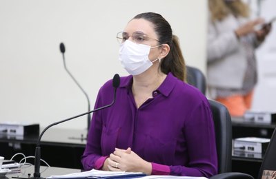 ALE derruba veto a PL que desburocratiza acesso de pequenos produtores à isenção de ICMS na conta de energia