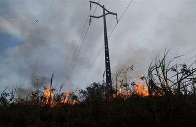 Equatorial Alagoas chama atenção para os prejuízos causados pelas queimadas na rede elétrica