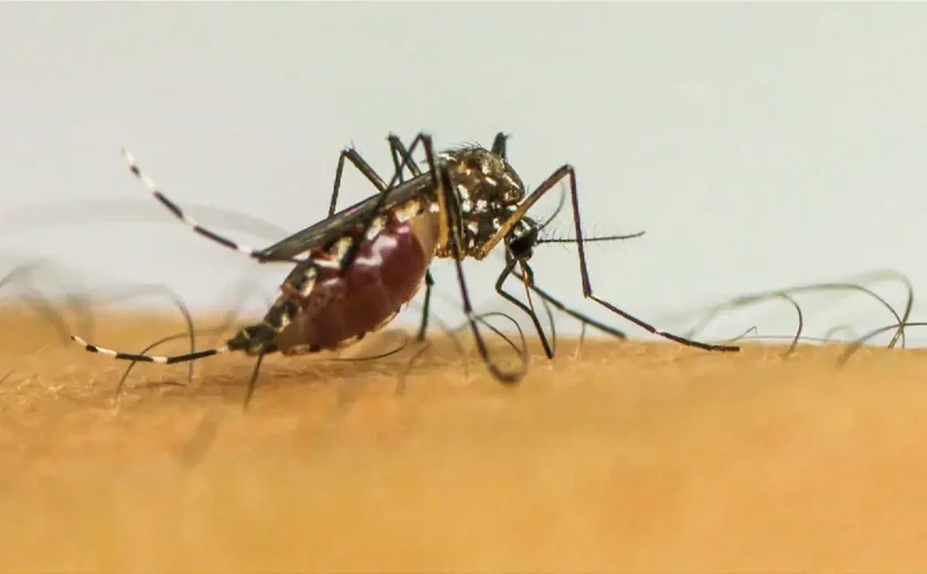 Palmas amplia vacinação contra a dengue