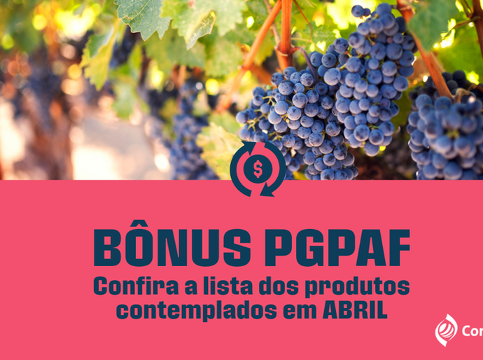 Conab amplia produtos agrícolas que têm redução nas parcelas do Pronaf