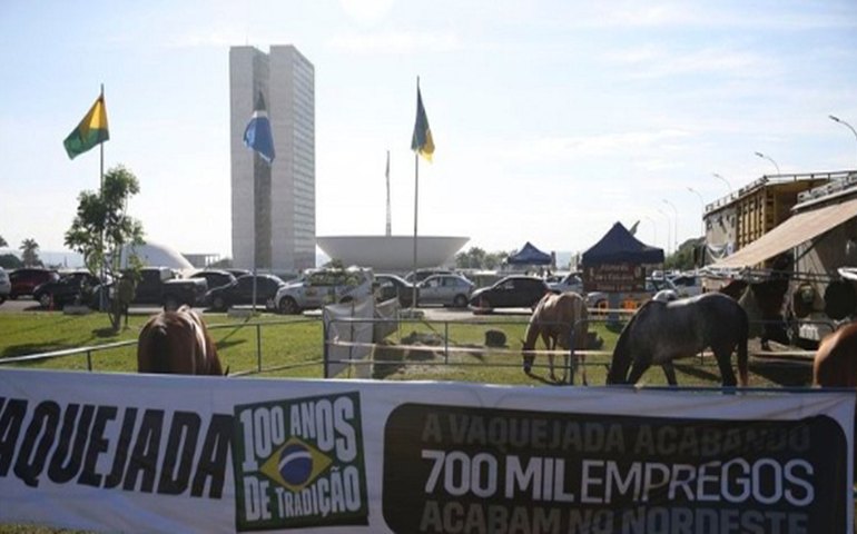 Comissão do Senado aprova projeto que eleva vaquejada a patrimônio
