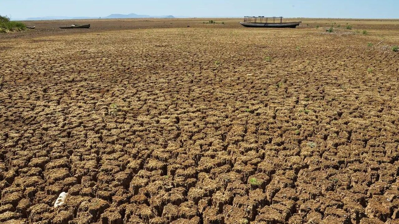 Três regiões do Brasil apresentaram seca intensa em abril, revela agência