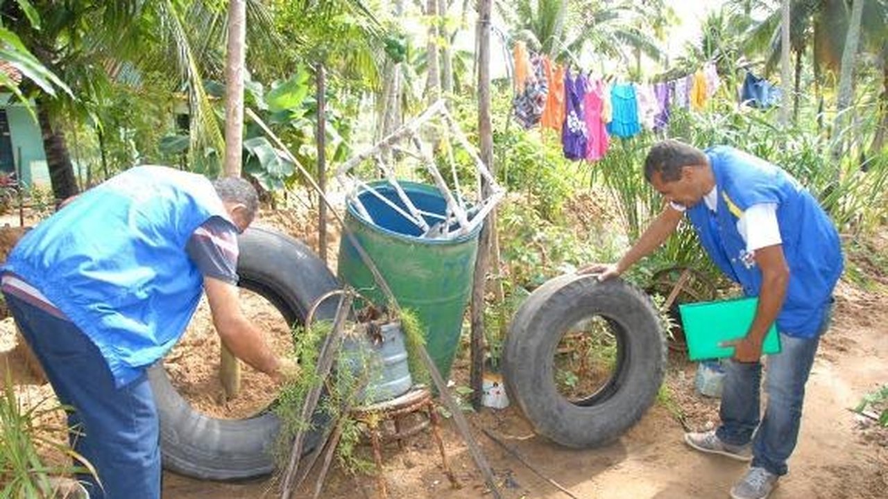 Combate à dengue depende do poder público e população