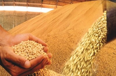 Embrapa aponta Alagoas com potencial para produção de soja