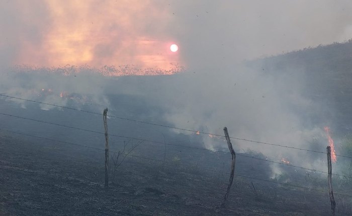 Incêndio na Estação Ecológica de Murici, Alagoas Incêndio na Estação Ecológica de Murici, Alagoas