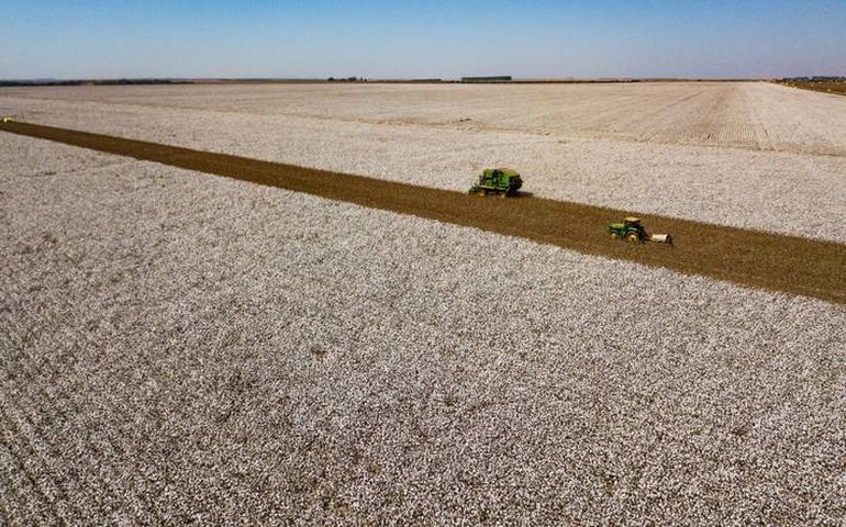 Safra agrícola cresceu 58,6% a valor de produção recorde de R$ 743,3 bi em 2021