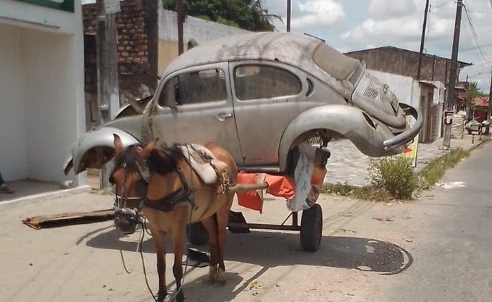 Égua é submetida a maus-tratos: 300 Kg no lombo