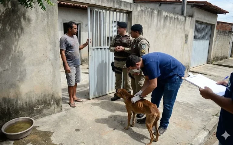 Cenário de horror: cães esqueléticos e com anemia severa são resgatados em Arapiraca; tutor foi preso