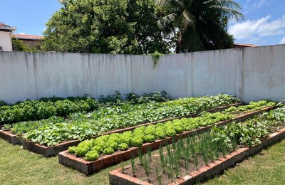 Hortas Urbanas: terapia, segurança alimentar e sustentabilidade promovidas pelo Governo de Alagoas