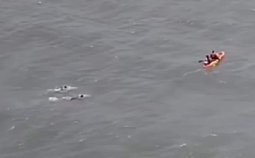 Dois homens à deriva em caiaque no Golfo do México são resgatados por navio de cruzeiro