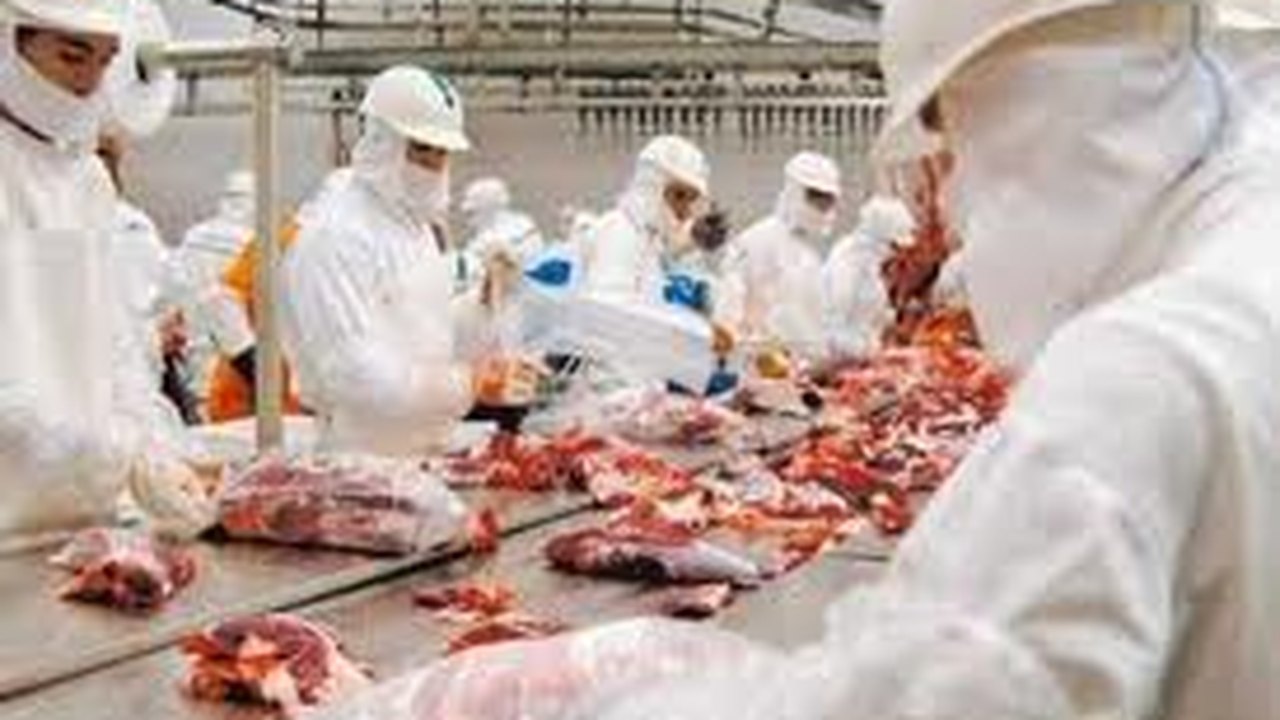 Exportações de carne bovina devem ter receita recorde em 2013