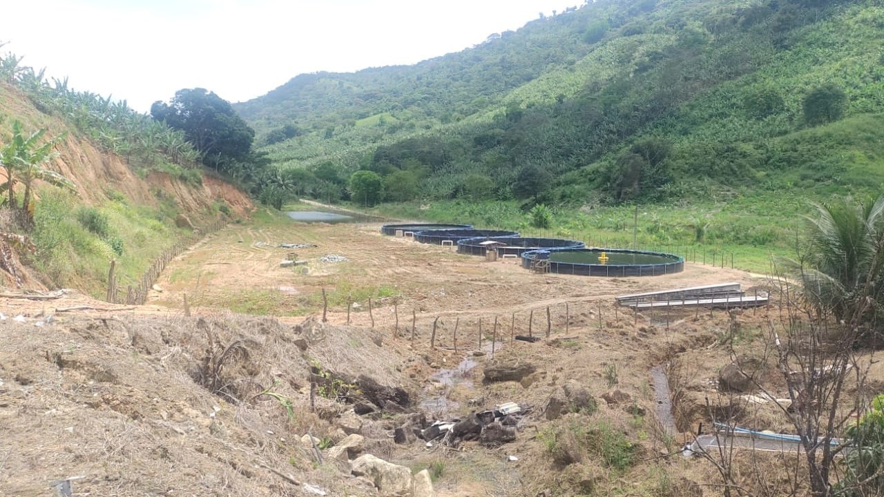 Operação Mata Atlântica em Alagoas é concluída com mais de 800 hectares embargados