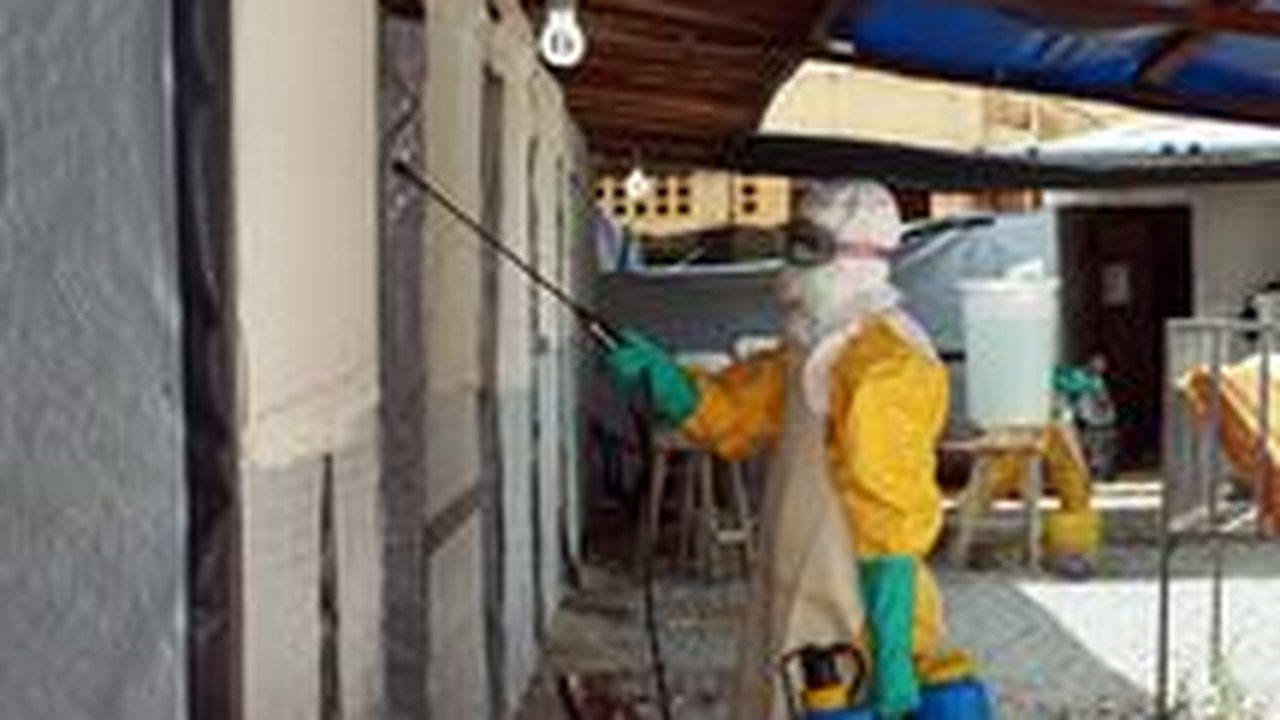 Ebola: Organização Mundial da Saúde declara Nigéria livre do vírus
