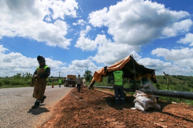 Conclusão do gasoduto Penedo-Arapiraca está prevista para o fim de 2017