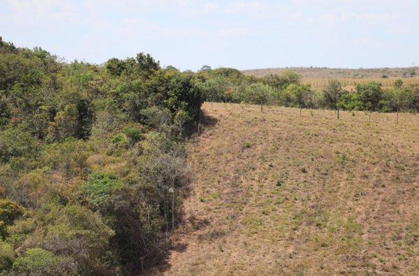 FPI flagra área desmatada equivalente a mais de 200 campos de futebol em Lagoa da Canoa e São Sebastião