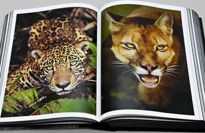 Araquém Alcântara, um dos pioneiros da fotografia de meio ambiente no Brasil, lança obra-manifesto, uma crônica visual da beleza e do horror