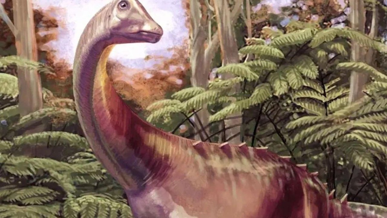 Fóssil guardado por 40 anos é identificado como primeiro osso de dinossauro achado na Antártida