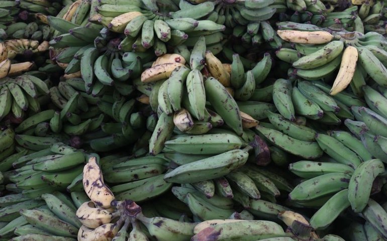 Educação explica processo da merenda escolar com mais de 55 mil alunos beneficiados