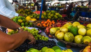 Funcionamento de feiras livres em Aracaju será alterado no São João / Foto: Foto: PMA/Divulgação