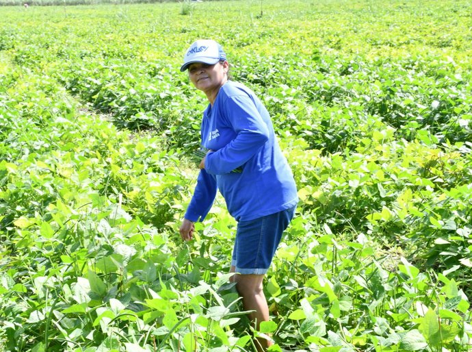 Prefeitura de São Miguel dos Campos abre cadastro para nova etapa do Programa Comida na Mesa