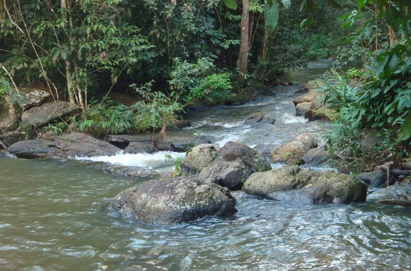 Preservação do Meio Ambiente é tema de audiência pública na Assembleia