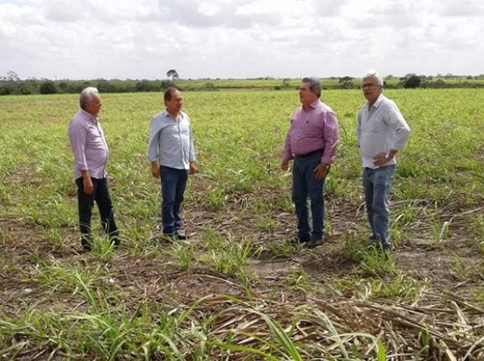 Governo de Alagoas construirá matadouro na Região Norte