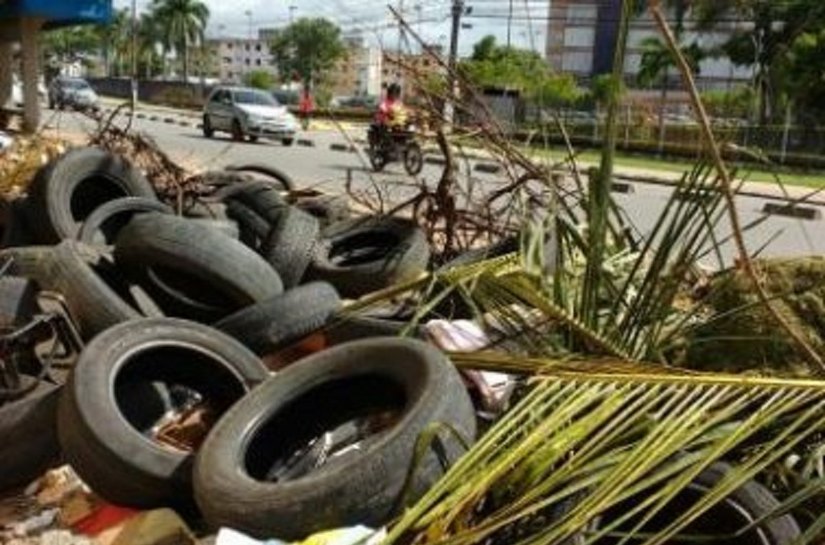 Disque Dengue recebeu este ano mais de 2 mil chamados