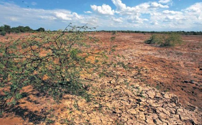 Cooperação técnica combaterá desertificação no semiárido