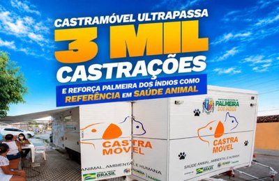 Castramóvel ultrapassa 3 mil castrações e reforça Palmeira dos Índios como referência em saúde animal