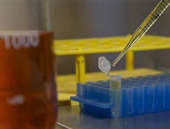 TECPAR - Laboratórios (2).JPG 