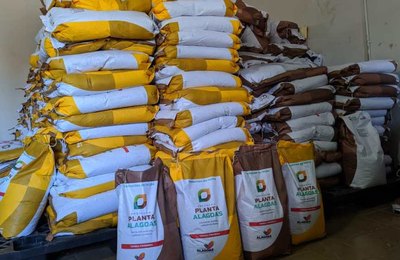 Prefeitura de Coruripe convoca agricultores que fizeram cadastro para retirar sementes