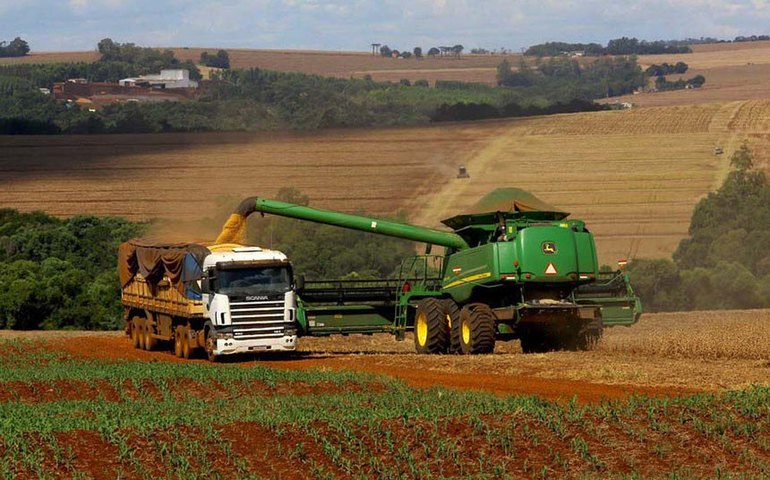 IFI aponta melhor desempenho da economia este ano