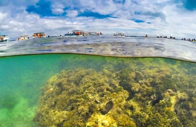 Piscinas naturais de Maragogi são destaque no turismo sustentável