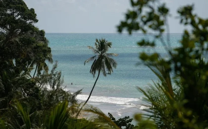 Russo resgatado após 67 dias no mar conta como sobreviveu: água da chuva e saco de dormir de lã