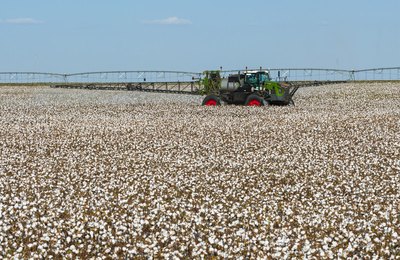 Dia Mundial do Algodão: Fendt contribui para expansão do setor algodoeiro com tecnologia de ponta no campo