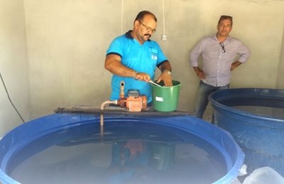 Alevinos são usados no combate ao mosquito da dengue em AL