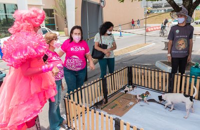 Dez animais ganham lar em Feira de Adoção do Shopping Pátio